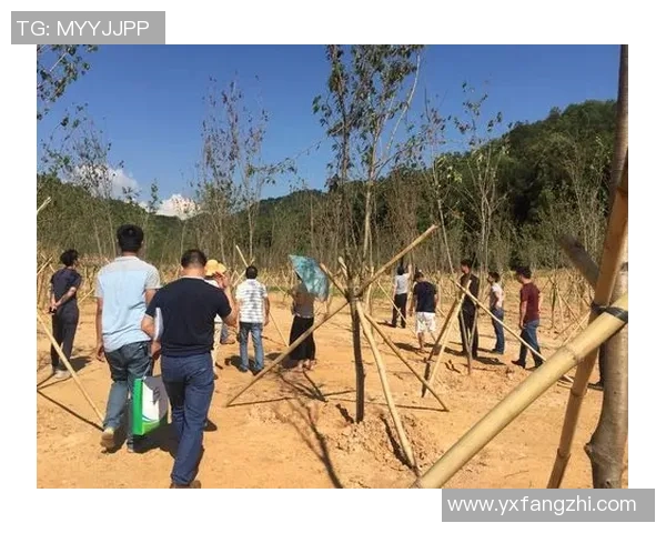 广州排球队挑战赛表现分析与状态评估探讨